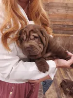 processed/e7463614-59ac-484f-804f-a3ea196990cd/listing/32f608c1-ccad-4057-872f-fb9607f7584f/1a43b71d-460f-470a-afc9-3c122010d076