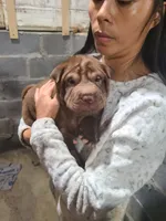 processed/e7463614-59ac-484f-804f-a3ea196990cd/listing/32f608c1-ccad-4057-872f-fb9607f7584f/5c52e3a1-2d65-468d-92df-496768e2b920