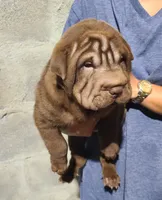 processed/e7463614-59ac-484f-804f-a3ea196990cd/listing/32f608c1-ccad-4057-872f-fb9607f7584f/6f821a48-165d-4ace-918a-6c2c0c828b26