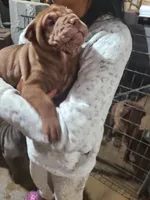 processed/e7463614-59ac-484f-804f-a3ea196990cd/listing/32f608c1-ccad-4057-872f-fb9607f7584f/7257607c-44e1-4850-89b7-c7dffde573e1