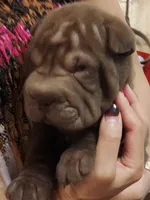 processed/e7463614-59ac-484f-804f-a3ea196990cd/listing/32f608c1-ccad-4057-872f-fb9607f7584f/9d61f23e-d622-4397-af3e-c2eaeedd3f1c