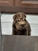 processed/e7463614-59ac-484f-804f-a3ea196990cd/listing/32f608c1-ccad-4057-872f-fb9607f7584f/d2dbc128-f4c3-4154-88d9-1bc11e3606c5