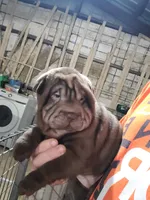 processed/e7463614-59ac-484f-804f-a3ea196990cd/listing/32f608c1-ccad-4057-872f-fb9607f7584f/fd760f92-c76c-44e2-a542-38249001103f