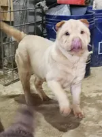 processed/e7463614-59ac-484f-804f-a3ea196990cd/listing/3e61ab6d-69e8-4660-8e20-22d165e340ea/0b7704d3-4905-4b93-b4fb-8161e6582337