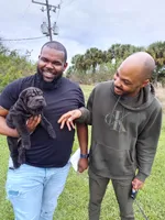 processed/e7463614-59ac-484f-804f-a3ea196990cd/listing/48b62e6c-d339-4912-ba76-87a422e4e8d1/2fdacb91-42aa-41dc-8375-55aee30e828e