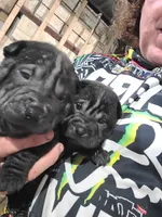 processed/e7463614-59ac-484f-804f-a3ea196990cd/listing/48b62e6c-d339-4912-ba76-87a422e4e8d1/4fc7e821-f7cc-449e-ab37-68d0ee23d69c