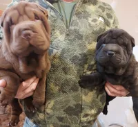 processed/e7463614-59ac-484f-804f-a3ea196990cd/listing/48b62e6c-d339-4912-ba76-87a422e4e8d1/6adfa9eb-fe13-4c7f-8ec2-b7cb4be29d78