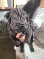 processed/e7463614-59ac-484f-804f-a3ea196990cd/listing/48b62e6c-d339-4912-ba76-87a422e4e8d1/799dfa13-37b1-4358-8c38-c76953426d09