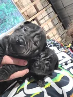 processed/e7463614-59ac-484f-804f-a3ea196990cd/listing/48b62e6c-d339-4912-ba76-87a422e4e8d1/9f80aed9-e96a-4130-bad2-4a91385eb28f