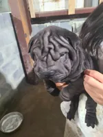 processed/e7463614-59ac-484f-804f-a3ea196990cd/listing/48b62e6c-d339-4912-ba76-87a422e4e8d1/a59ff529-ba7a-407f-8955-f6eba069eb26