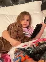 processed/e7463614-59ac-484f-804f-a3ea196990cd/listing/6fa62bab-d8f0-41e7-b700-28e29326f818/2d982499-1efa-40a0-9b6b-c55bd90d2ab7