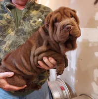 processed/e7463614-59ac-484f-804f-a3ea196990cd/listing/6fa62bab-d8f0-41e7-b700-28e29326f818/33a4297c-9d10-4db6-aa5b-586fd09bed92