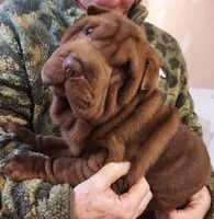 processed/e7463614-59ac-484f-804f-a3ea196990cd/listing/6fa62bab-d8f0-41e7-b700-28e29326f818/3bf1d112-e195-4796-bd76-afa253ed47b4