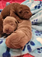 processed/e7463614-59ac-484f-804f-a3ea196990cd/listing/6fa62bab-d8f0-41e7-b700-28e29326f818/3e4742e4-422e-4306-8a08-663776f9dadc