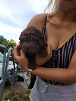 processed/e7463614-59ac-484f-804f-a3ea196990cd/listing/6fa62bab-d8f0-41e7-b700-28e29326f818/aa415411-3b9e-4b25-8aaf-c8661fcb7dff