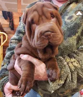 processed/e7463614-59ac-484f-804f-a3ea196990cd/listing/6fa62bab-d8f0-41e7-b700-28e29326f818/ad198ca8-37c4-42fc-bf74-a3ffa9f6ee9c