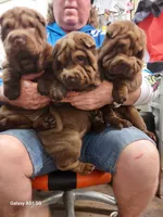 processed/e7463614-59ac-484f-804f-a3ea196990cd/listing/6fa62bab-d8f0-41e7-b700-28e29326f818/c7c45e1e-ae82-4ca3-9a61-a8b19e5e252d