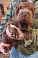 processed/e7463614-59ac-484f-804f-a3ea196990cd/listing/6fa62bab-d8f0-41e7-b700-28e29326f818/f48dc2f7-8d85-492b-a75a-8b318fc75bd8