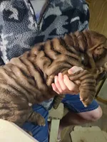 processed/e7463614-59ac-484f-804f-a3ea196990cd/listing/8e9b50df-c77a-4bd8-9abd-6d573fe13287/838e3956-d457-4a24-a1a8-f37537804add