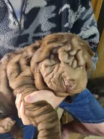 processed/e7463614-59ac-484f-804f-a3ea196990cd/listing/8e9b50df-c77a-4bd8-9abd-6d573fe13287/a95d374a-22e7-43ee-aa45-f91ca0c582bd