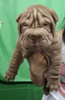 processed/e7463614-59ac-484f-804f-a3ea196990cd/listing/98c13563-5fcb-47a9-baec-1c24f9530bce/359b55d9-789c-4ebd-9007-92f86f47377d