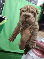 processed/e7463614-59ac-484f-804f-a3ea196990cd/listing/98c13563-5fcb-47a9-baec-1c24f9530bce/3921da51-3ef4-4569-899f-81a7a05b174a