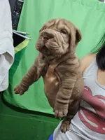 processed/e7463614-59ac-484f-804f-a3ea196990cd/listing/98c13563-5fcb-47a9-baec-1c24f9530bce/5b8ee6a2-87b1-4705-813d-563d6eb03f79