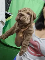 processed/e7463614-59ac-484f-804f-a3ea196990cd/listing/98c13563-5fcb-47a9-baec-1c24f9530bce/920b9fdf-1f47-4669-b110-7badb0d8e5f2