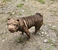 processed/e7463614-59ac-484f-804f-a3ea196990cd/listing/ab38a8ec-d0c5-4511-87fc-5c1bab0381da/040b67e2-3c52-44ed-afa1-ee224e44e977