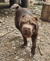 processed/e7463614-59ac-484f-804f-a3ea196990cd/listing/ab38a8ec-d0c5-4511-87fc-5c1bab0381da/31bbb47a-8355-47c8-b531-344e6a2e18a8