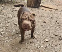 processed/e7463614-59ac-484f-804f-a3ea196990cd/listing/ab38a8ec-d0c5-4511-87fc-5c1bab0381da/406586be-2505-4b7c-ab81-cdb038b8126d