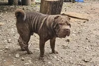 processed/e7463614-59ac-484f-804f-a3ea196990cd/listing/ab38a8ec-d0c5-4511-87fc-5c1bab0381da/668a2c4d-8afe-4413-8c2e-696831e39fe4