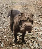 processed/e7463614-59ac-484f-804f-a3ea196990cd/listing/ab38a8ec-d0c5-4511-87fc-5c1bab0381da/80e239ab-5334-4c18-bb31-f690c1b9dfac