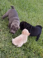 processed/e7463614-59ac-484f-804f-a3ea196990cd/listing/c5194221-a6ff-47b4-9883-d2a065869981/03b242fb-193f-424e-9945-fe595708d818