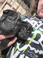 processed/e7463614-59ac-484f-804f-a3ea196990cd/listing/c5194221-a6ff-47b4-9883-d2a065869981/646e9dfe-fea6-4080-8e8f-c083cd53c424