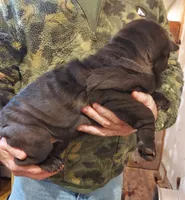 processed/e7463614-59ac-484f-804f-a3ea196990cd/listing/c5194221-a6ff-47b4-9883-d2a065869981/67a2bd9f-6f11-44c4-96a9-227981a0b413