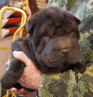 processed/e7463614-59ac-484f-804f-a3ea196990cd/listing/c5194221-a6ff-47b4-9883-d2a065869981/6b758794-0bf1-4896-bb1f-a8ffce1b69e1