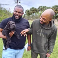 SATIN BLACK GIRL, a female Chinese Shar-Pei for sale in West Palm Beach, FL – 2 of 10