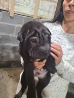 processed/e7463614-59ac-484f-804f-a3ea196990cd/listing/c5194221-a6ff-47b4-9883-d2a065869981/b1276144-7df5-44ec-b6ef-3b698d0a17fd