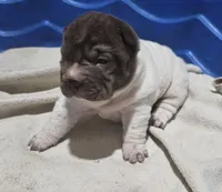 processed/e7463614-59ac-484f-804f-a3ea196990cd/listing/d88f3527-5195-4c92-a3d4-6ee6f408cf17/1897f17d-ed9c-4b9d-8eae-a429e8394332