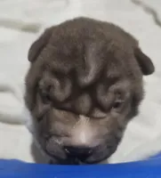 processed/e7463614-59ac-484f-804f-a3ea196990cd/listing/d88f3527-5195-4c92-a3d4-6ee6f408cf17/413506d2-c747-476d-8285-0a07f3652dd5