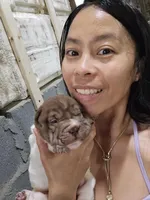 processed/e7463614-59ac-484f-804f-a3ea196990cd/listing/d88f3527-5195-4c92-a3d4-6ee6f408cf17/4a45eed1-d3a3-4088-860e-ff3b61c55b1d