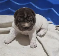 processed/e7463614-59ac-484f-804f-a3ea196990cd/listing/d88f3527-5195-4c92-a3d4-6ee6f408cf17/caaa5879-48dd-4293-8a89-f36486e57564