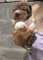 processed/e7463614-59ac-484f-804f-a3ea196990cd/listing/d88f3527-5195-4c92-a3d4-6ee6f408cf17/e3d3e2a8-9eb9-4310-9ebf-891276de29d1