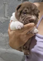 processed/e7463614-59ac-484f-804f-a3ea196990cd/listing/d88f3527-5195-4c92-a3d4-6ee6f408cf17/f907b3f3-b5d1-4f79-a78d-c6f3b4b90713