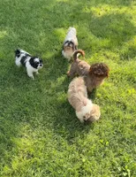 processed/e75ac80e-b17a-40f1-9acb-0a1dfee9b948/facility/43da1b49-8739-4d24-913e-31af65b1ad48