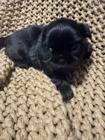 processed/e75ac80e-b17a-40f1-9acb-0a1dfee9b948/listing/49ac744a-843c-44f5-b64d-543cb988dee4/0a5b10d9-c0b3-45f0-8e64-a275a99cb984