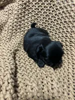 processed/e75ac80e-b17a-40f1-9acb-0a1dfee9b948/listing/49ac744a-843c-44f5-b64d-543cb988dee4/485f7412-ce09-4494-a465-4ac58fa4a20c