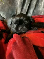 processed/e75ac80e-b17a-40f1-9acb-0a1dfee9b948/listing/49ac744a-843c-44f5-b64d-543cb988dee4/4cb5deb2-44a9-4c48-975b-93bb0f179fbe