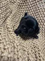 processed/e75ac80e-b17a-40f1-9acb-0a1dfee9b948/listing/49ac744a-843c-44f5-b64d-543cb988dee4/92899c03-e82c-4f89-a2b8-0cf812373cc5